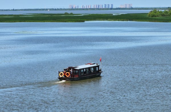 冠达配资 清凉消夏 游滨江湿地