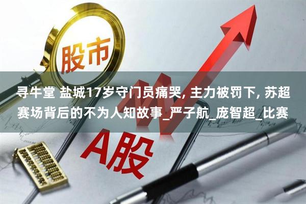 寻牛堂 盐城17岁守门员痛哭, 主力被罚下, 苏超赛场背后的不为人知故事_严子航_庞智超_比赛